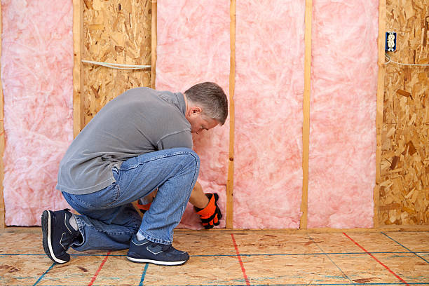 Best Insulation Maintenance and Repair in Hallettsville, TX