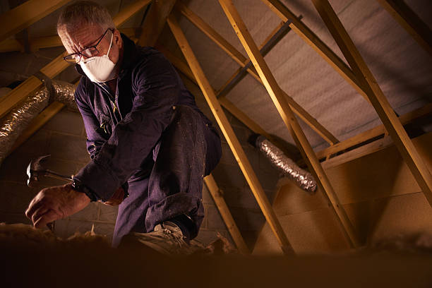 Best Residential Insulation in Hallettsville, TX
