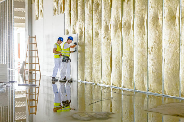 Best Energy Efficiency Solutions in Hallettsville, TX